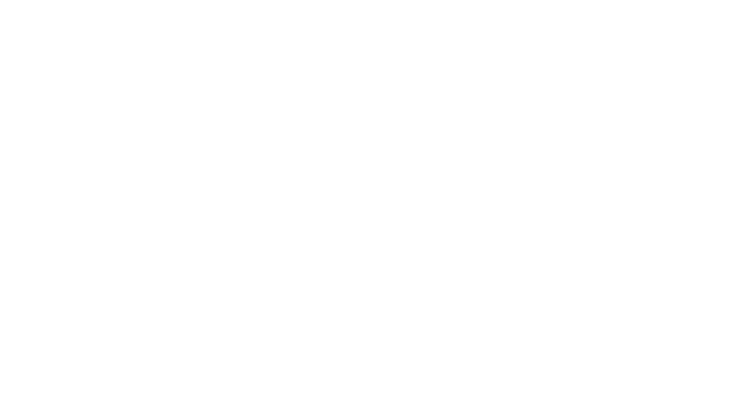 mavila_logo_white